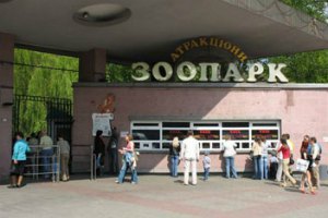 Директора киевского зоопарка уволят