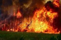 Забайкальські пожежі поширилися на Монголію