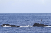 Французский траулер поймал в сети португальскую подводную лодку