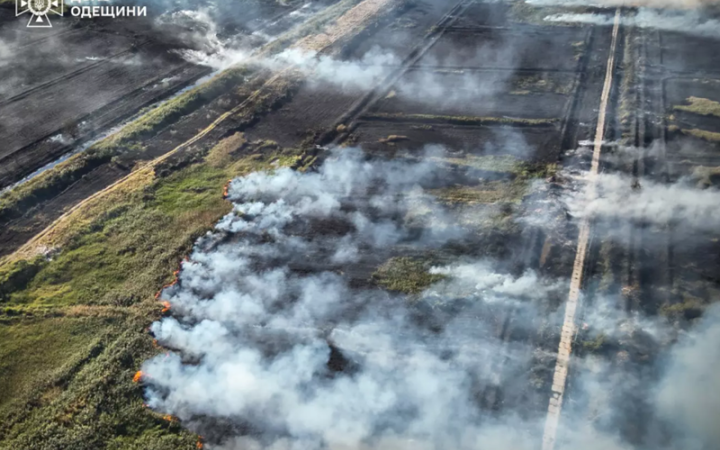 ​В Одесі сталася масштабна природна пожежа, для гасіння залучали дрон