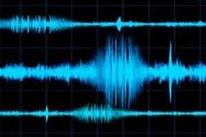В Папуа-Новой Гвинее произошло землетрясение силой 6,2 балла
