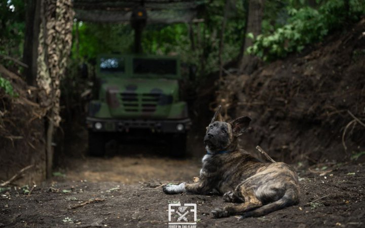 Генштаб: від початку доби на фронті відбулося 72 боєзіткнення