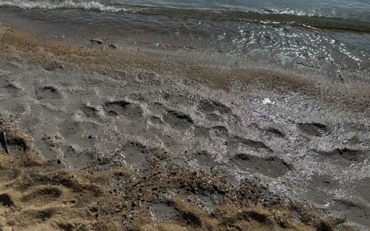 Екологічне забруднення виявили фахівці на узбережжі Чорного моря 