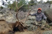 В Африці 75-річного мільйонера зі США під час полювання на антилопу затоптала група слонів