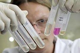 В Украине "свиным гриппом" заболело 225 человек