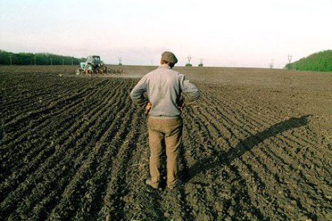 Порошенко одобрил продление моратория на продажу сельхозземель до 2018 года