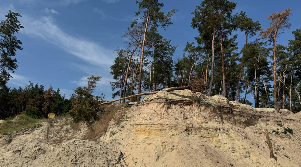 Стоп-кадр з відео, яке зняли у червні 2025 році