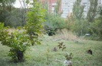 На ликвидацию оползней в одном из районов Днепропетровска выделят 100 млн грн 