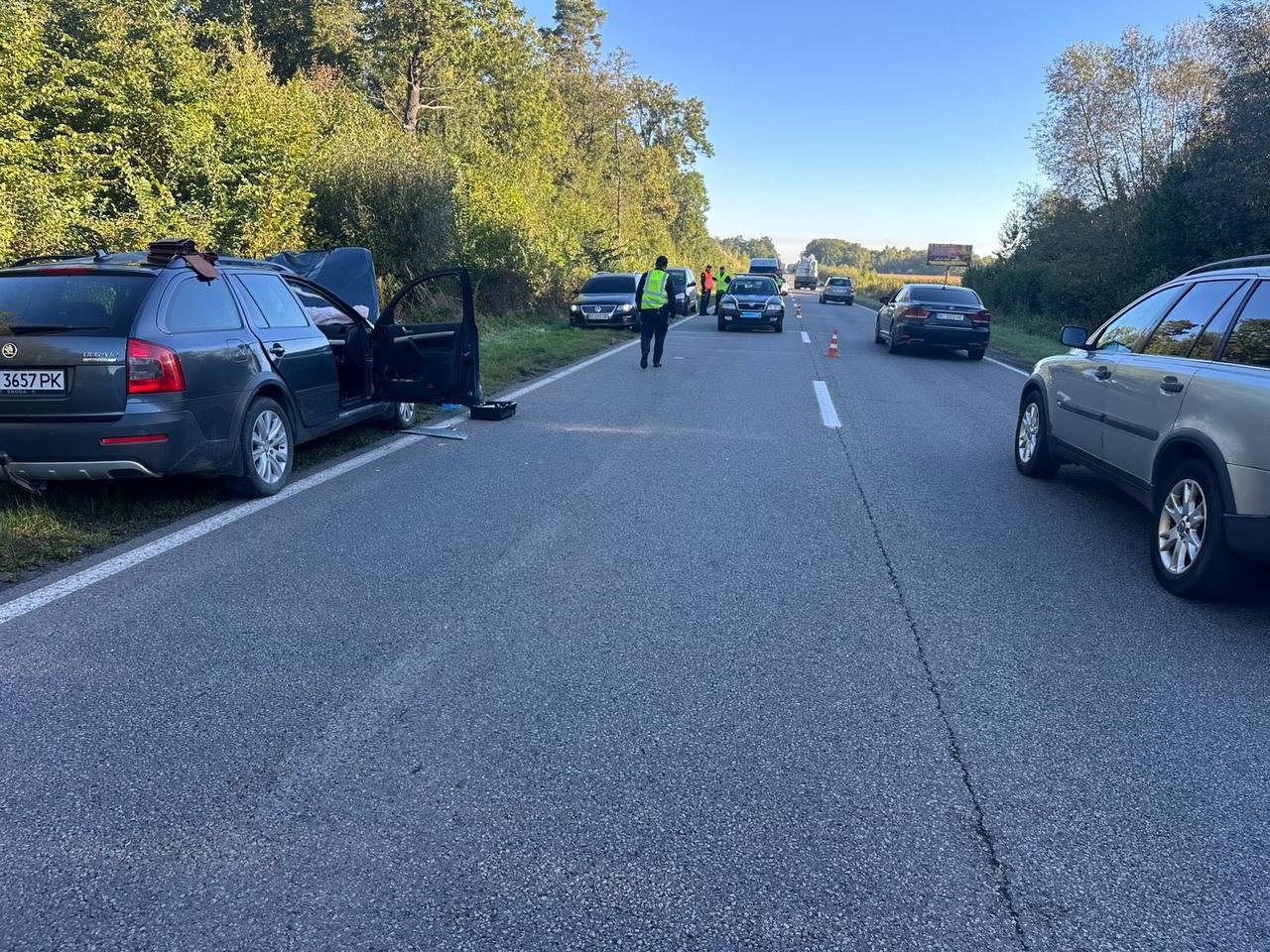 На місця дтп, де у аварії з лосем загинув пасажир автомобіля на Львівщині.