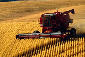 В Украине собрали первый миллион тонн зерна