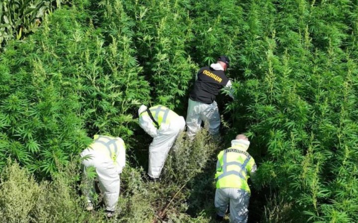 У 23 областях України відбувся другий етап спецоперації проти «чорного» ринку наркотиків «Джентльмени»