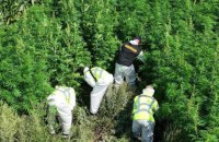 У 23 областях України відбувся другий етап спецоперації проти «чорного» ринку наркотиків «Джентльмени»