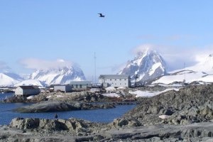Ученые обнаружили ущелье под льдом в западной Антарктике