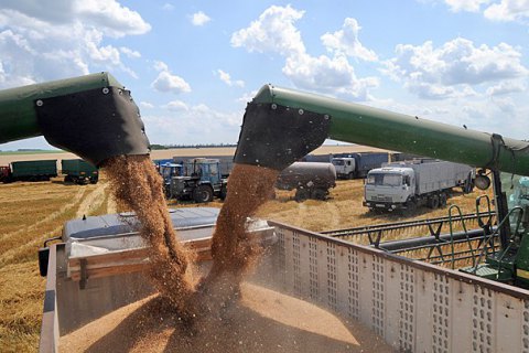 Правоохранители изъяли зерно на 200 млн грн по делу о незаконном экспорте (обновлено)