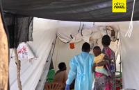 Африка переживає наймасштабніший спалах холери за останні 25 років