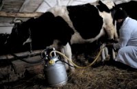 Милиционерам приходится спасать заготовителей молока от крестьян