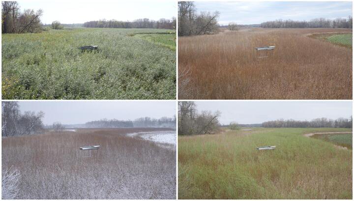 Жанна Кадирова, проєкт &quot;Ліс&quot;