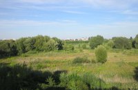 Топчиновницю Держгеокадастру підозрюють у розбазарювання заповідних земель на Волині 