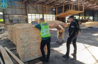 На Житомирщині посадовців лісової галузі підозрюють у завданні майже 23 млн грн збитків державі