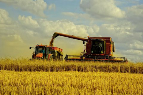 Минэкономики спрогнозировало урожай зерна на уровне 65-70 млн тонн