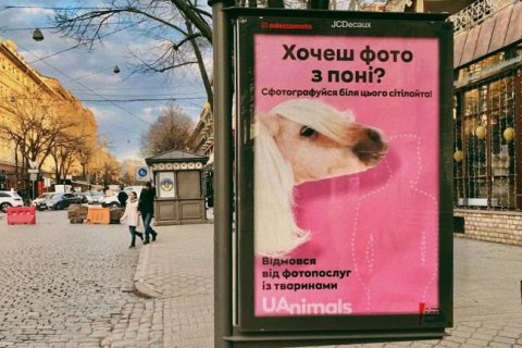 Зоозащитники установили в украинских городах ситилайты для фото с животными