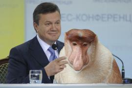 Януковичу в Брунее подарили длинноносую обезьянку