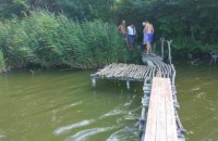 Полуторалетний ребенок утонул в пруду в Харьковской области