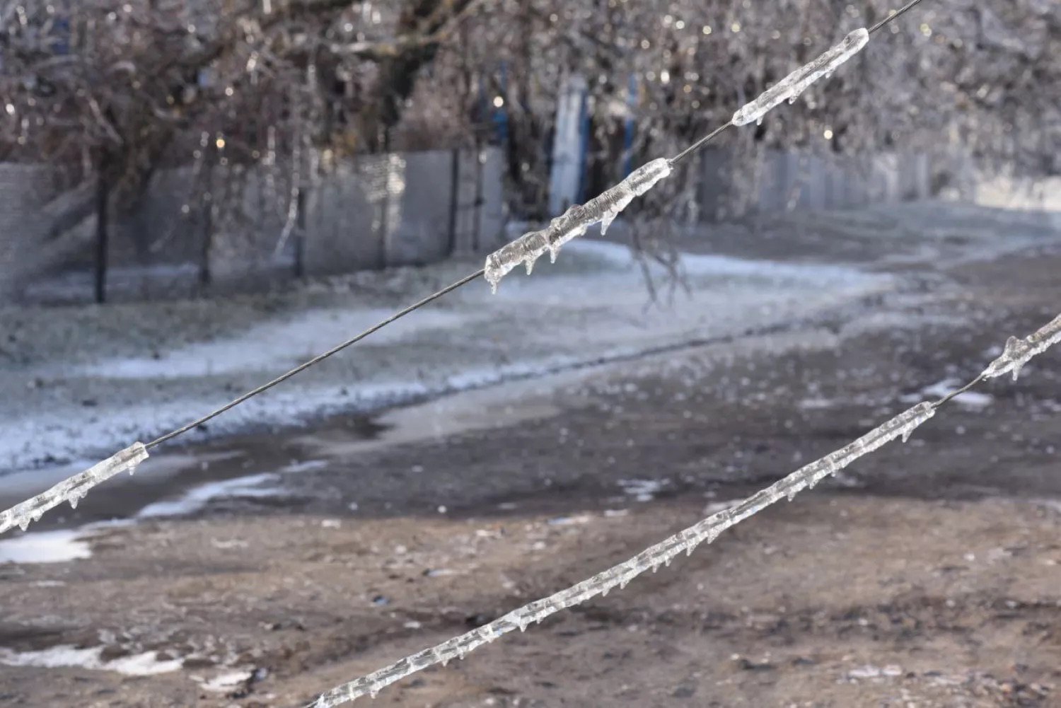 Обледенілі електромережі на Миколаївщині.