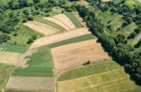 Экс-начальница Госгеокадастра в Киевской области получила подозрение за дерибан земли агрокомбината "Пуща-Водица"