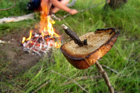 На Херсонщині заборонили пікніки в лісах на травневі свята