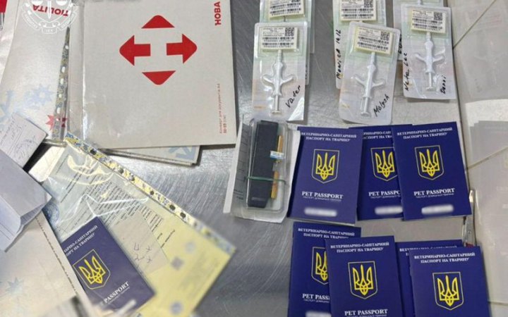 ​У Києві сімох ветеринарів підозрюють в отриманні грошей за прискорене оформлення документів для виїзду тварин за кордон