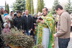 В Украине празднуют Вербное воскресенье