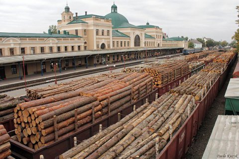 У Порошенко подтвердили подготовку законопроекта об экспорте леса