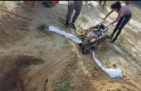 Поліція виявила на Харківщині поховання цивільного із тілесними ушкодженнями