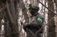 В "Азові" розповіли подробиці просування у Серебрянському лісництві