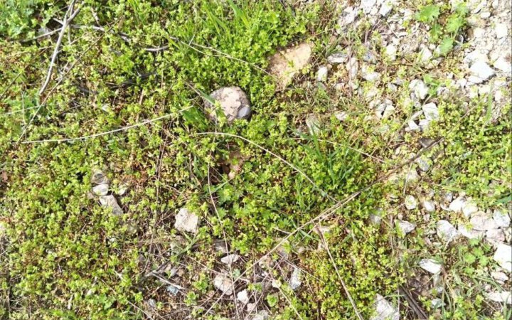 Росіяни дистанційно мінують Комишани Херсонської області мінами типу "Пряник"