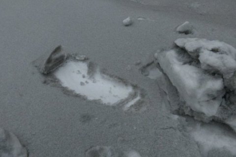 Шмыгаль признал, что "черный" снег в Бурштыне является следствием работы ТЭС