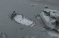 Шмыгаль признал, что "черный" снег в Бурштыне является следствием работы ТЭС
