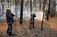 На Харківщині рятувальники третю добу гасять масштабну лісову пожежу