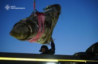 На Житомирщині знешкодили бойову частину ракети «Кинджал» вагою пів тонни