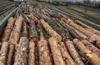Вивозили цінну деревину вагонами в Румунію: в Україні викрили масштабну схему контрабанди лісу
