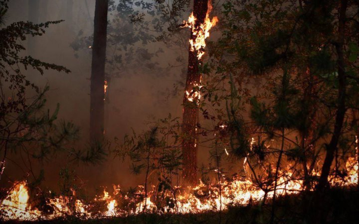 На тимчасово окупованій території Луганщини виникла масштабна лісова пожежа 