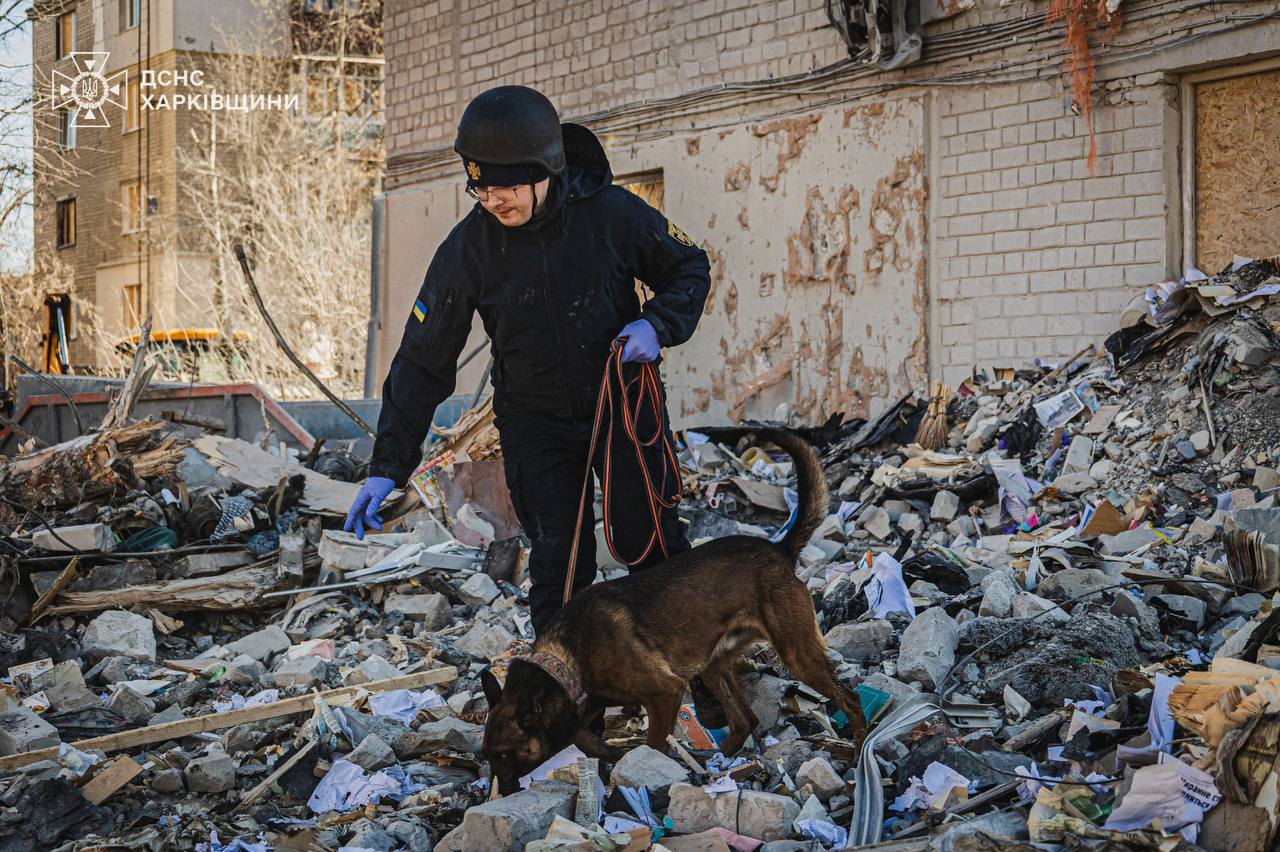 Кінолог працює на місці удару у Харкові