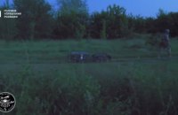 Філігранна робота дронів ГУР: розвідники нищать ворога на Торецькому та Покровському напрямках