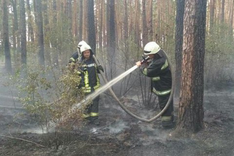 В Киеве возле Троещины загорелся лес