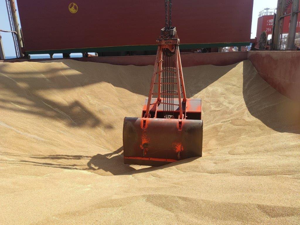 Зерно є головною статтею українського експорту до країн Африки
