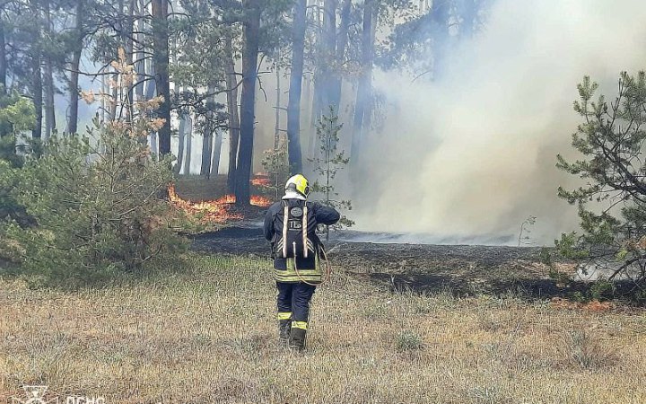 На Харківщині пожежа через детонацію боєприпасів охопила 20 га