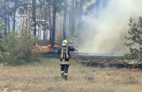 На Харківщині пожежа через детонацію боєприпасів охопила 20 га