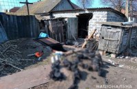 Среди жертв оккупантов, которых нашли в застенке села Гусаровка на Харьковщине, был ребенок