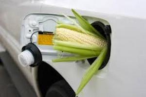 ЕС собирается сократить использование биотоплива для автомобилей 